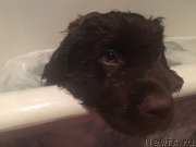 Превью фото № 209015