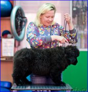 Превью фото № 209019