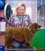 Превью фото № 209026