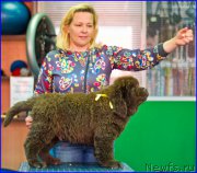 Превью фото № 209033