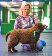 Превью фото № 209036