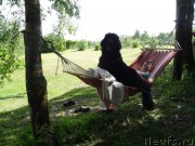 Превью фото № 209092