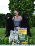 Превью фото № 209109