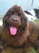 Превью фото № 209112