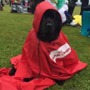 Превью фото № 209141