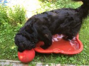 Превью фото № 209142