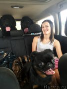 Превью фото № 209144