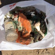 Превью фото № 209259