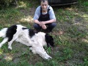 Превью фото № 209264