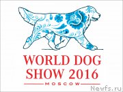 Превью фото № 209288