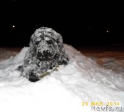 Превью фото № 209325