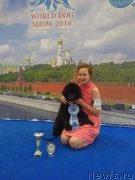 Превью фото № 209334