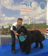 Превью фото № 209335