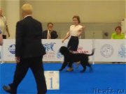 Превью фото № 209337