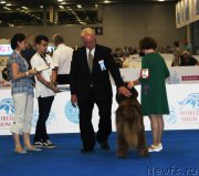 Превью фото № 209347