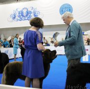 Превью фото № 209348