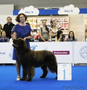 Превью фото № 209350