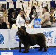 Превью фото № 209351