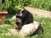 Превью фото № 209364