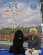 Превью фото № 209390