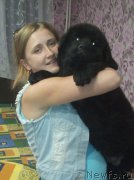 Превью фото № 209403