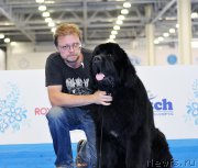 Превью фото № 209426