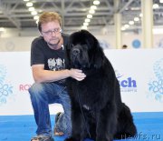 Превью фото № 209427