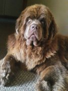 Превью фото № 209432