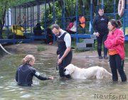 Превью фото № 209455