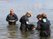 Превью фото № 209496