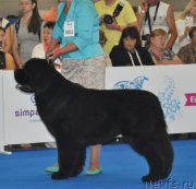 Превью фото № 209510