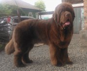 Превью фото № 209512