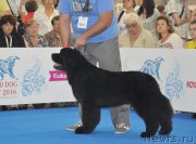 Превью фото № 209514