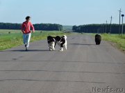 Превью фото № 209538