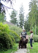 Превью фото № 209541