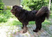 Превью фото № 209591