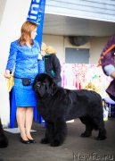 Превью фото № 209660