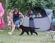 Превью фото № 209664