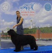 Превью фото № 209698