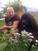 Превью фото № 209707