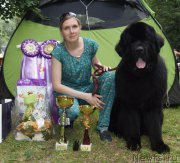 Превью фото № 209708