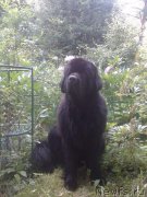 Превью фото № 209711