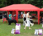 Превью фото № 209712