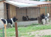 Превью фото № 209715