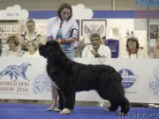 Превью фото № 209718