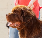 Превью фото № 209772