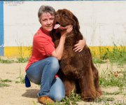 Превью фото № 209775