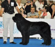 Превью фото № 209778