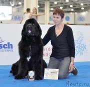 Превью фото № 209791