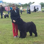 Превью фото № 209792